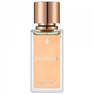 Marc-Antoine Barrois Encelade